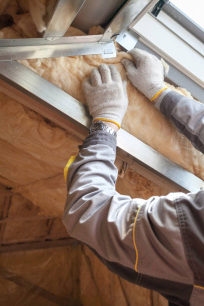 Professional Insulation Contractor in Boise City, OK